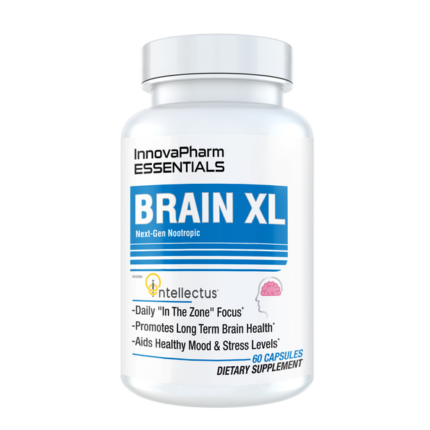 Brain XL